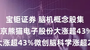 宝钜证券 脑机概念股集体高开 南京熊猫电子股份大涨超43%微创脑科学涨超28%