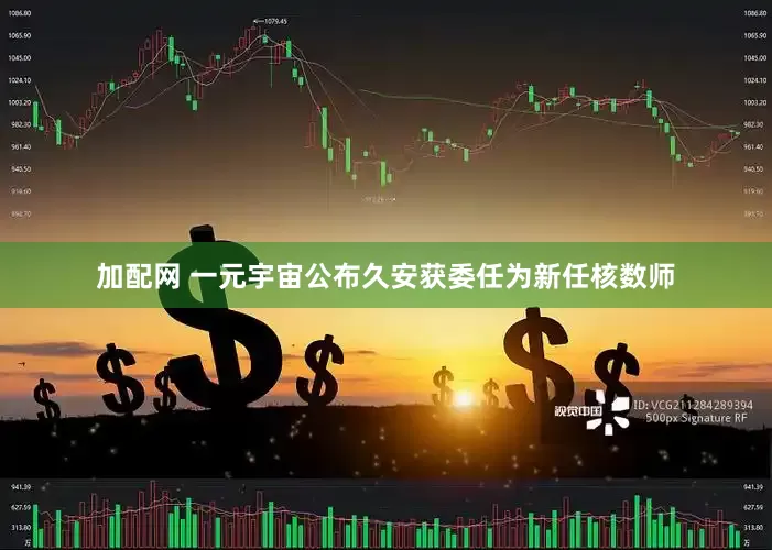 加配网 一元宇宙公布久安获委任为新任核数师