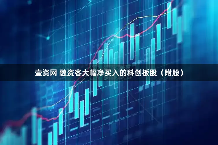 壹资网 融资客大幅净买入的科创板股（附股）