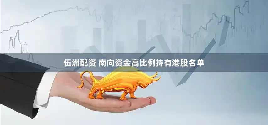 伍洲配资 南向资金高比例持有港股名单