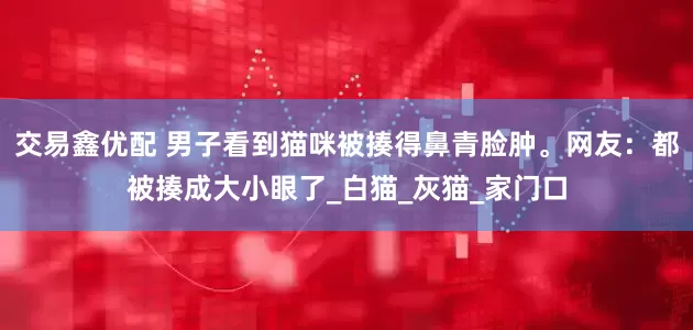 交易鑫优配 男子看到猫咪被揍得鼻青脸肿。网友：都被揍成大小眼了_白猫_灰猫_家门口