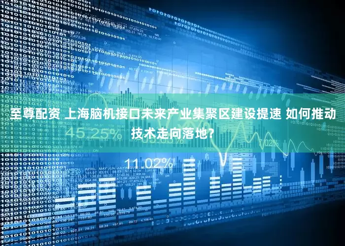 至尊配资 上海脑机接口未来产业集聚区建设提速 如何推动技术走向落地？