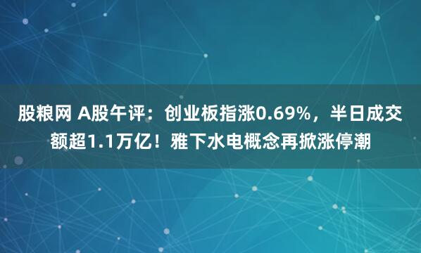 股粮网 A股午评：创业板指涨0.69%，半日成交额超1.1万亿！雅下水电概念再掀涨停潮