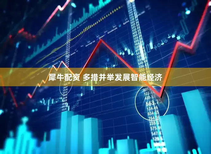 犀牛配资 多措并举发展智能经济