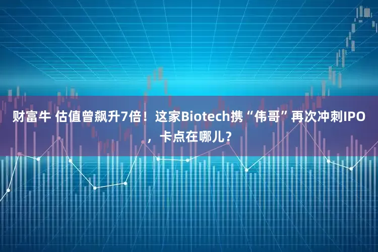 财富牛 估值曾飙升7倍！这家Biotech携“伟哥”再次冲刺IPO，卡点在哪儿？