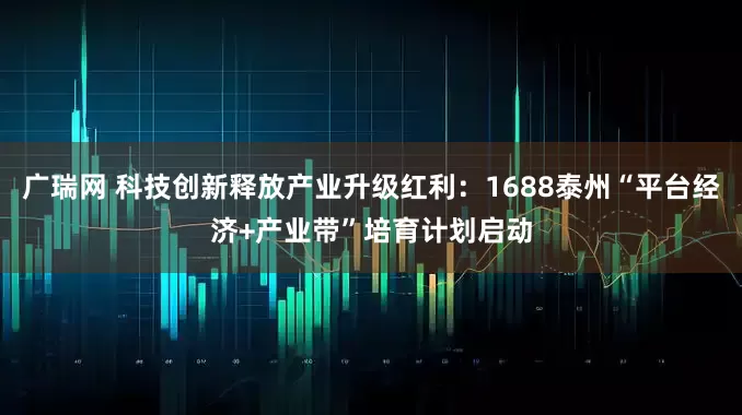 广瑞网 科技创新释放产业升级红利：1688泰州“平台经济+产业带”培育计划启动