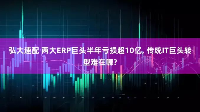 弘大速配 两大ERP巨头半年亏损超10亿, 传统IT巨头转型难在哪?