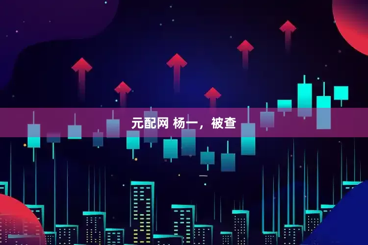 元配网 杨一，被查