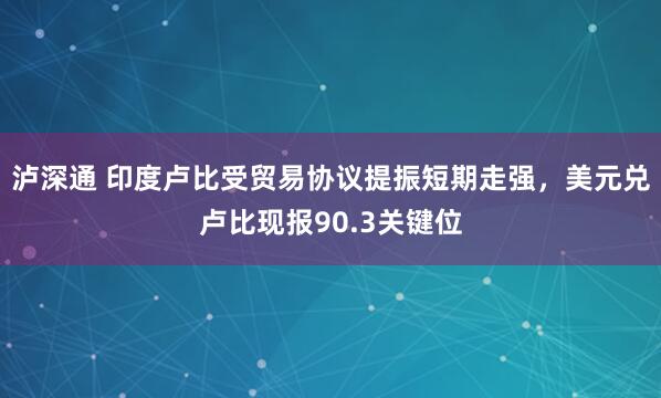 泸深通 印度卢比受贸易协议提振短期走强，美元兑卢比现报90.3关键位