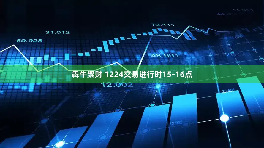 犇牛聚财 1224交易进行时15-16点